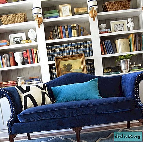 Kaip pasirinkti mėlyną interjero sofą, sėkmingus spalvų derinius