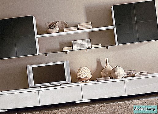 How to choose a long TV stand, model options