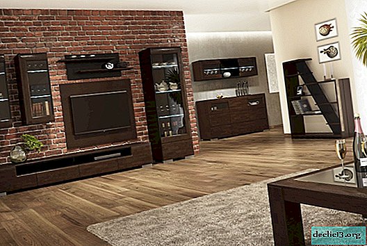 Como escolher móveis de gabinete em uma sala de estar, uma foto de salas em estilo moderno