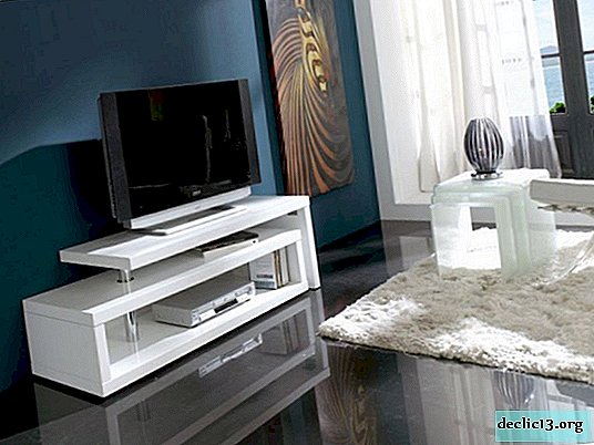 How to choose a modern TV stand, an overview of models