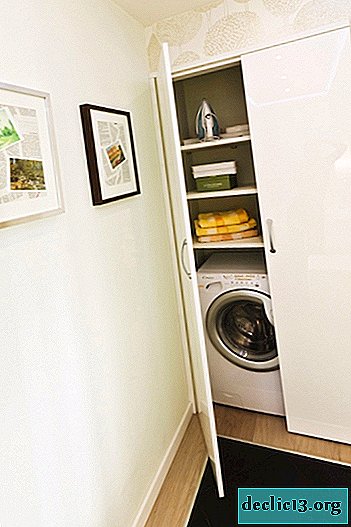 Kakšne so omare za pralni stroj, pravila izbire