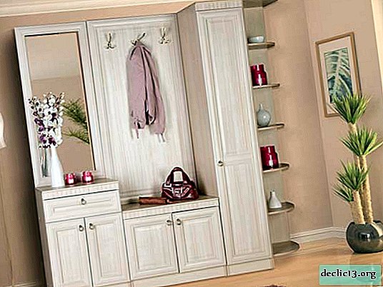 Quelles sont les options pour les meubles dans le couloir d'un style classique, des conseils pour choisir