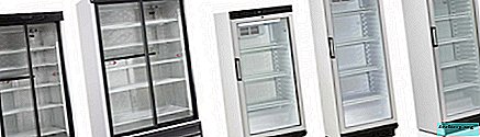 Kokios yra šaldytuvų spintelės su stiklinėmis durimis, jų ypatybės