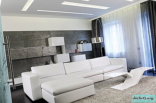 Model sofa terbaik di ruang tamu dengan gaya modern, aturan pilihan