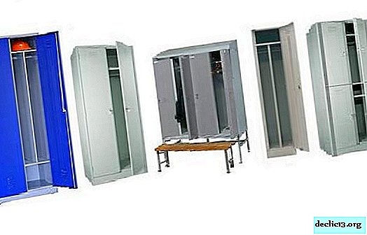 خزانة معدنية في غرفة الملابس ، نظرة عامة على النماذج