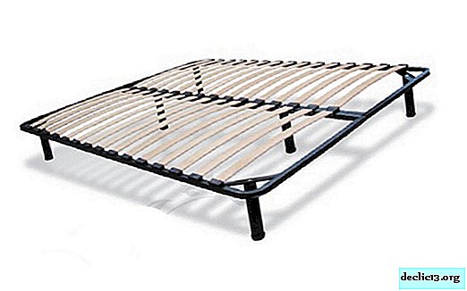 Purpose, functionality and possible options for bed frames
