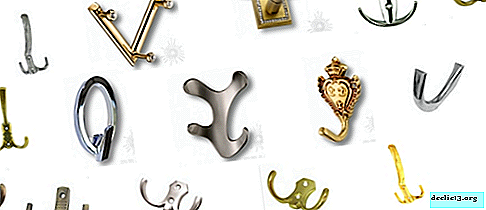 The nuances of choosing furniture hooks, their possible options and features - Dressing