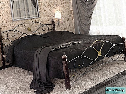 Resumen de camas de hierro forjado de varios tipos, características de diseño