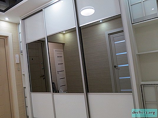 Visão geral de armários com espelho para o hall de entrada, regras de seleção