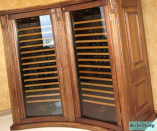 Overview of cabinets made of solid wood, features of models