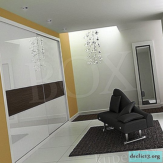 Overview of stylish sliding wardrobes, which models are better