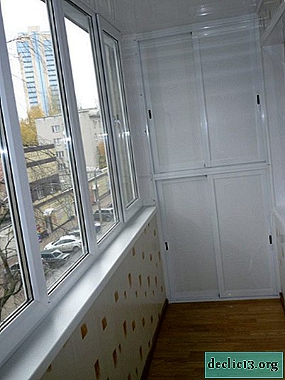 Vue d'ensemble des armoires de coin pour un balcon, les nuances de choix