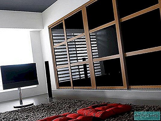 Visão geral dos guarda-roupas embutidos para a sala de estar, opções existentes