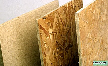 Hlavné parametre nábytku z drevotriesky, možné možnosti a kritériá výberu
