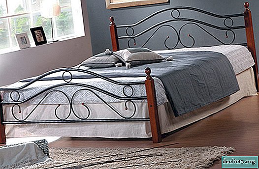 Features of a double metal bed, selection criteria