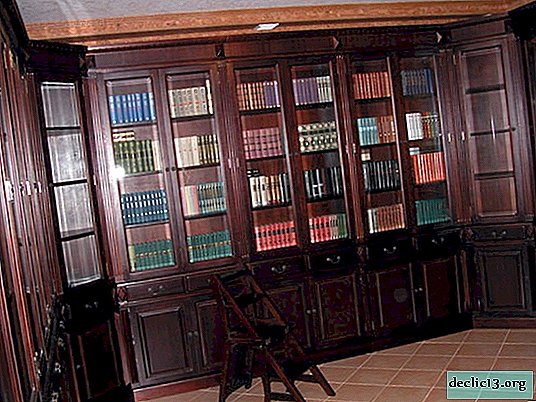 Značilnosti knjižnih omaric, prednosti in slabosti iz masivnega lesa