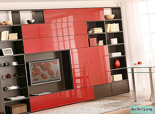 Features of cabinet furniture and photos of the most popular models
