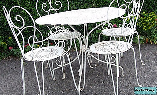 Features forged garden furniture, a review of models - Dacha