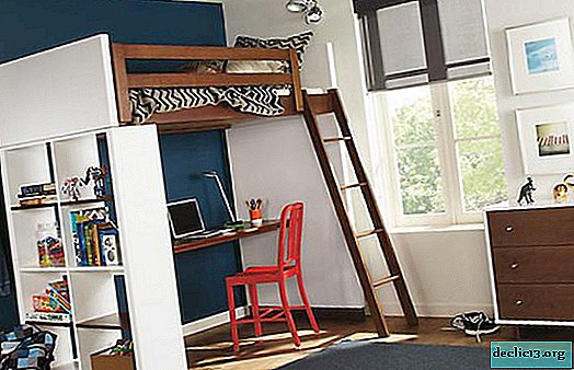 Features loft beds with a working area, popular options