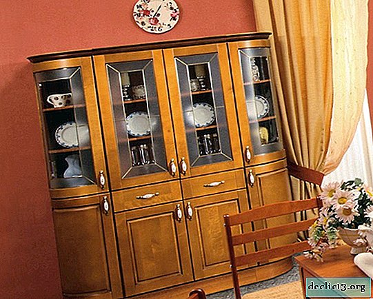 Caractéristiques des armoires de cuisine pour la vaisselle, les nuances de sélection