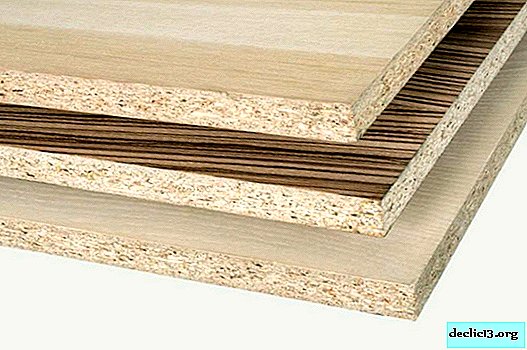 Features of chipboard furniture, selection tips - Materials