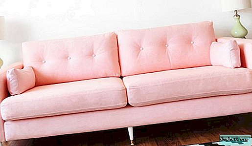 Χαρακτηριστικά της τοποθέτησης ενός ροζ καναπέ, ένας συνδυασμός με διαφορετικά στυλ