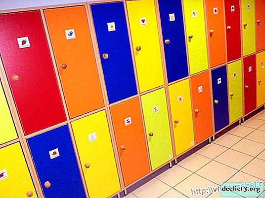 Caractéristiques des casiers pour les jardins d'enfants, les nuances de choix