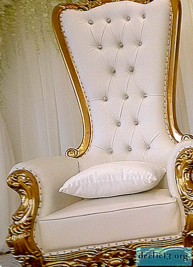 Características de una combinación de una silla de trono con interiores modernos.