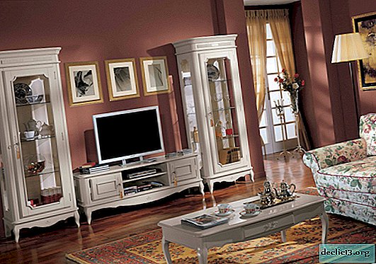 Caractéristiques du choix des meubles dans le salon réalisés dans le style classique