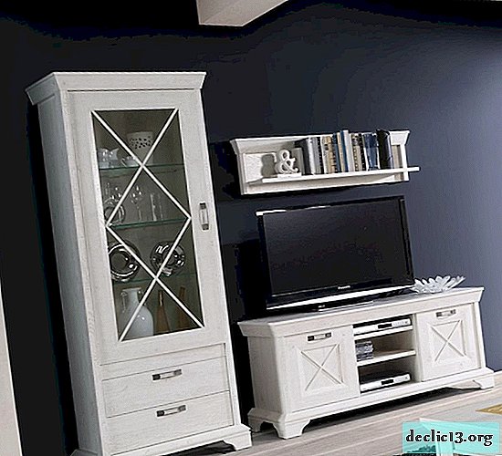 Features of the choice of cabinets for showcases in the living room, existing options