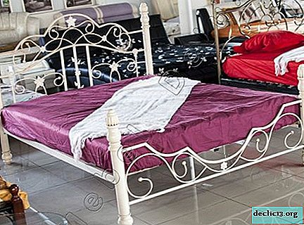 Distinctive features of wrought-iron beds from Malaysia, the best models