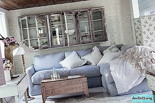 Karakteristiske træk ved sofaer i stil med provence, udsmykning, farvelægning