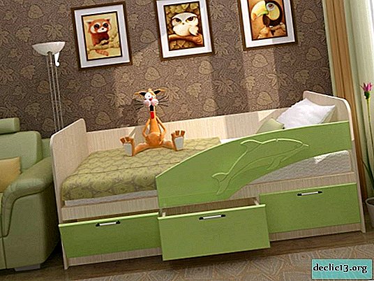 نماذج سرير الدلفين الشعبية ، مزايا التصميم على الآخرين