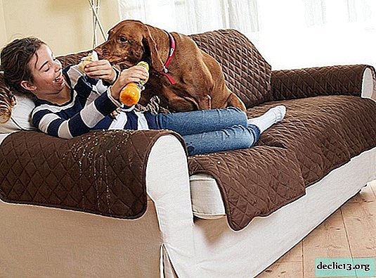 Trinn-for-trinn-instruksjoner for å sy et deksel på en sofa med egne hender