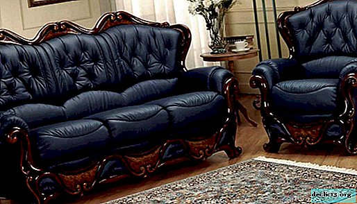 The rules for cleaning leather furniture, the choice of tools and technology