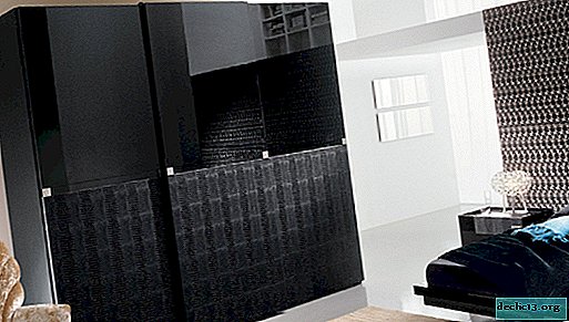 Rules for choosing black cabinets, an overview of models