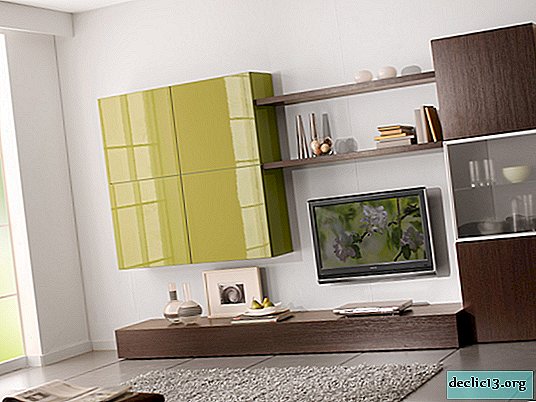 Regras para escolher móveis de armário na sala de estar, aconselhamento especializado