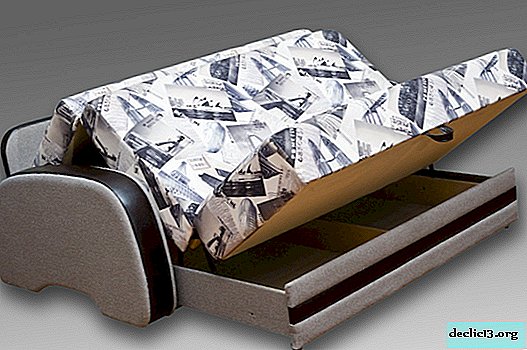Fordele ved en ortopædisk sofa til daglig søvn, sorter