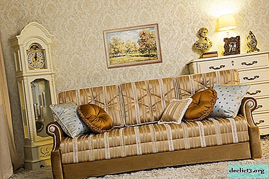 Razões para a popularidade do sofá Eurosof, modificações do produto