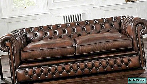 Varieties of Chester sofas, their features, advantages