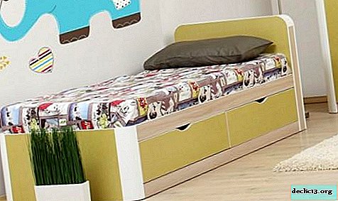 Variedades de camas individuales y características de diseño.
