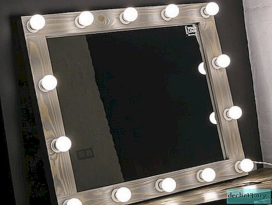 Varieties of mirrors with bulbs, reasons for popularity among women