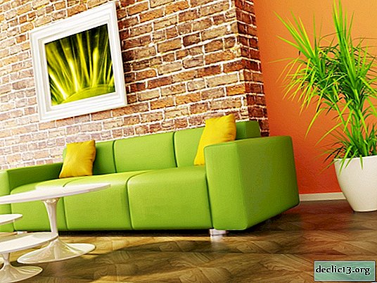 Universal green sofas - a good solution for any interior