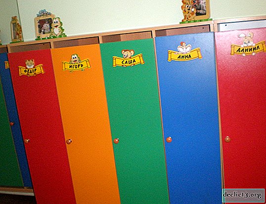 Variants of pictures for lockers in kindergarten, selection tips - Children