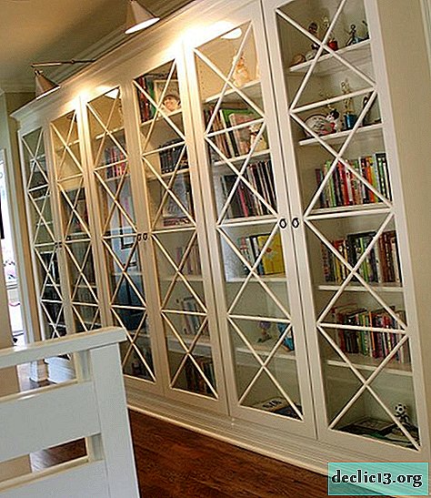 ตัวเลือกสำหรับตู้หนังสือที่มีประตูกระจกและคุณสมบัติของตู้หนังสือ