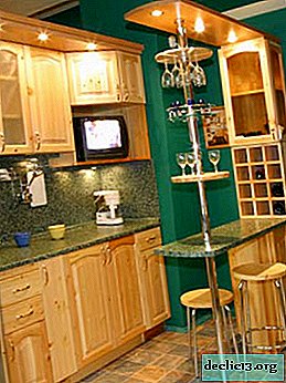 Furniture options for a small kitchen and their features