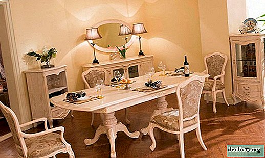 Opciones de muebles de comedor, reglas para elegir y colocar en el interior