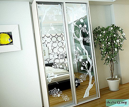 Options for sandblasting drawings for mirrors of wardrobes, photo examples