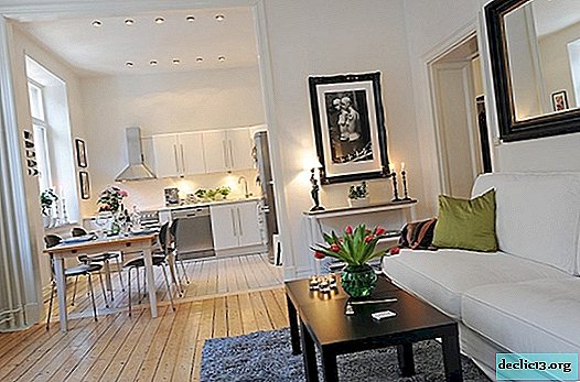 Muligheder for at arrangere møbler i en etværelses lejlighed, designtips