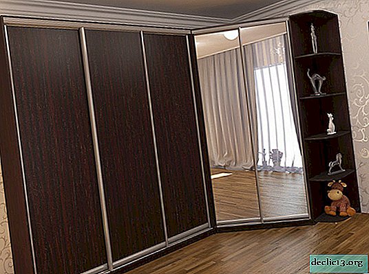 Opțiuni pentru dulapuri de colț cu oglindă, imagine de ansamblu a modelului